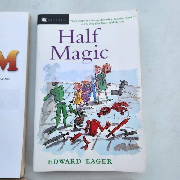 4 books book bundle Lot Set Chapter Books Young Adult Poem Literature Novels Sto - Picture 6 of 11